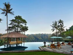 Dive into Luxury: Discovering Ubud, Bali’s Elite Retreat