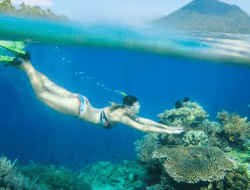 Bunaken Diving Guide: Sulawesi’s Underwater Paradise