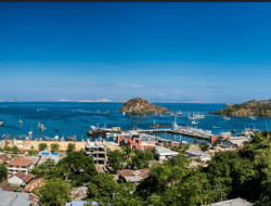 The Ultimate Guide to Komodo National Park