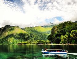 Discover the Untamed Beauty of Seram Manusela National Park