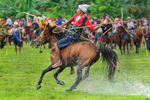 Pasola-Sumba source: cdn.idntimes.com