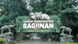 Ragunan-zoo-Jakarta source: ayojakarta.com