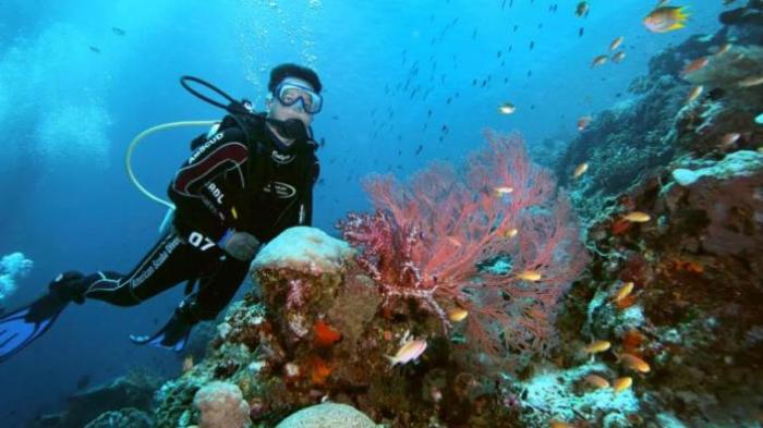 Scuba_Diving_Raja_Ampat_Papua_Indonesia source: KompasTV