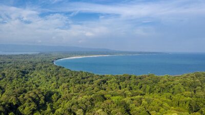 TAMAN_NASIONAL_UJUNG_KULON source: wikipedia.org