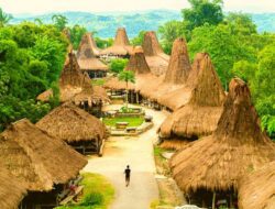 Flores Travel Guide: The Best Islands Beyond Komodo