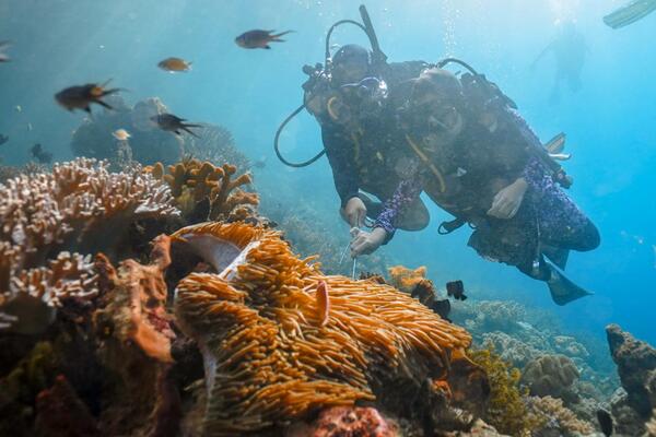 friwen-wall-raja-ampat source:wonderfulimages.kemenparekraf.go.id