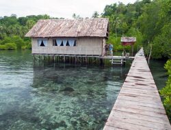 How to Find Budget-Friendly Accommodation in Raja Ampat