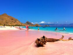 The Stunning Pink Beaches of Indonesia You Must See