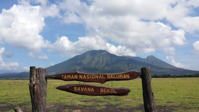 savana-bekol-taman-nasional-baluran source: tripadvisor.com