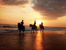 Explore the Magic of Canggu, Bali: An Unforgettable Horse Riding Experience