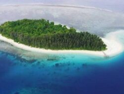Exploring the Untamed Beauty of Nature Reserves in Morotai, Maluku