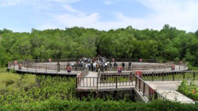 taman_hutan_raya_ngurah_rai_bali source: Zabur K(Antara foto)