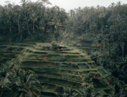 Discovering the Enchanting Realms of Indonesia: A Journey Beyond Expectations
