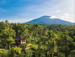 Discover the Charm of Sarinbuana Eco Lodge